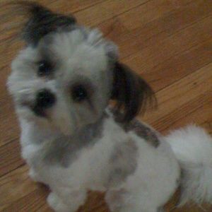 Meet your Posher, Kae